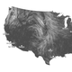 A mesmerizing, real-time map of US wind patterns